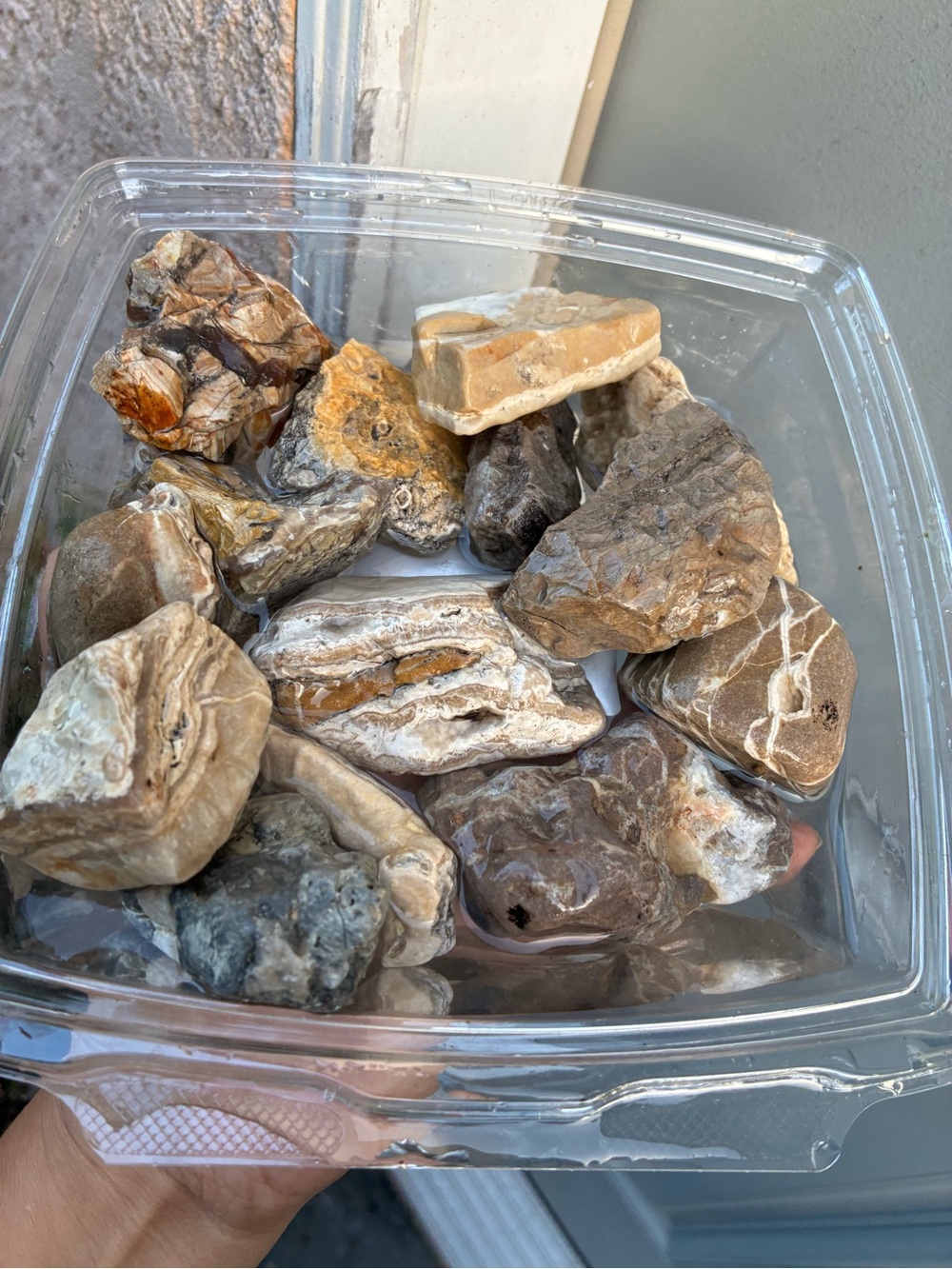 Naturally Sea Tumbled Stones Many W/ Marbled Patterns, Or Crystal Patches